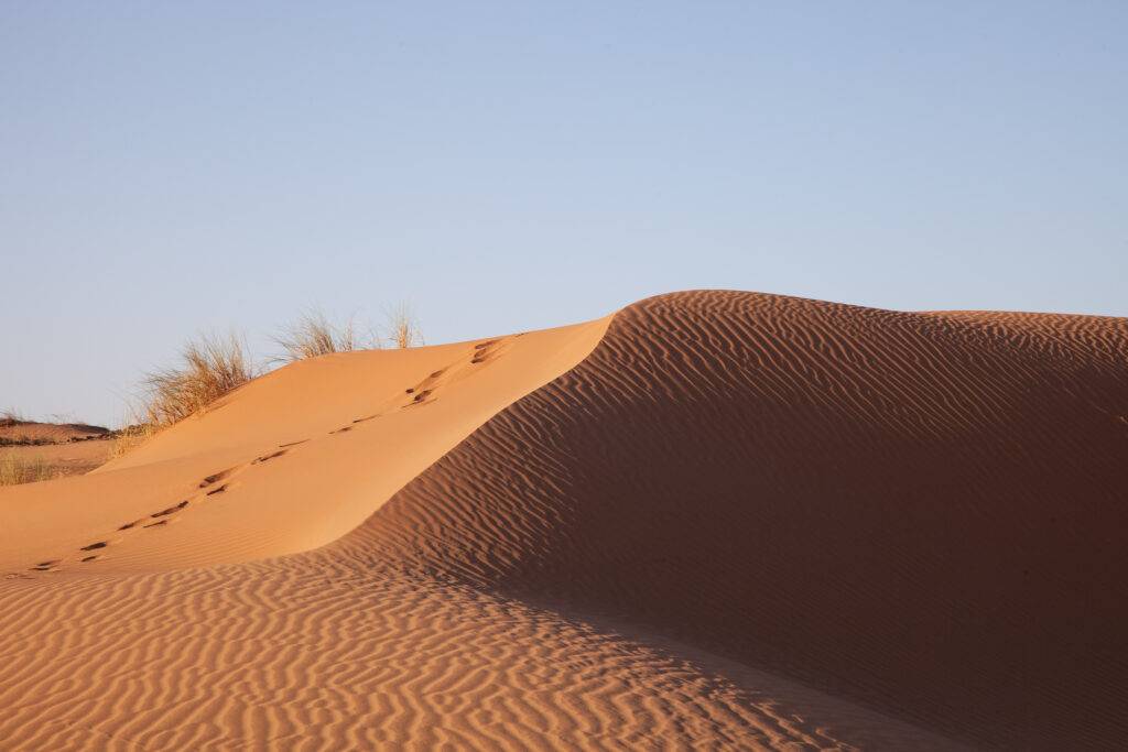 photo d'une dune de sable